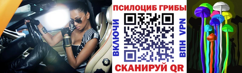 Галлюциногенные грибы MAGIC MUSHROOMS цена Бикин